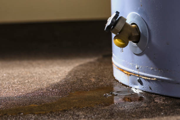 Best Commercial water damage restoration  in Sumner, IA
