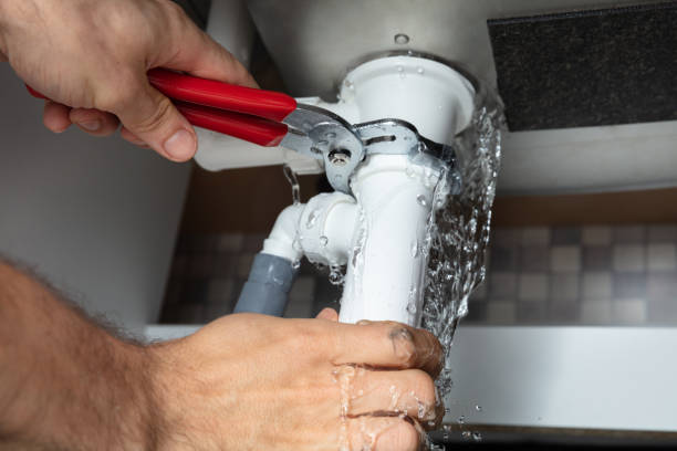 Best Residential water damage restoration  in Sumner, IA