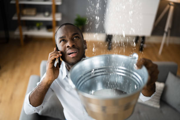 Best Water damage repair service  in Sumner, IA