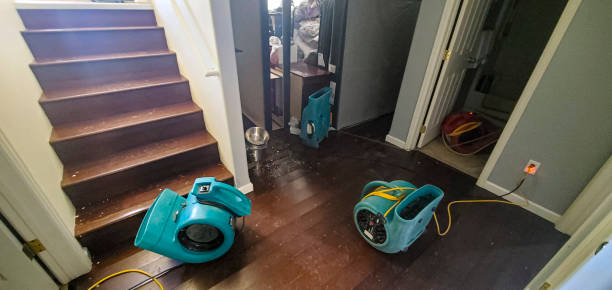 Best Flood damage cleanup  in Sumner, IA