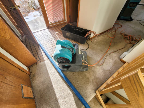 Best Emergency water damage restoration  in Sumner, IA