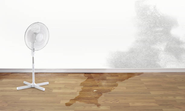 Best Water damage cleanup near me  in Sumner, IA