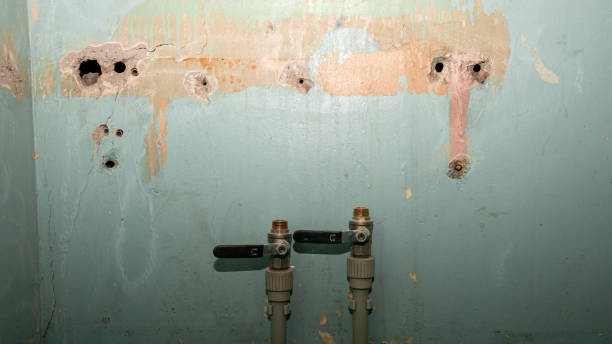 Best Water damage contractors near me  in Sumner, IA