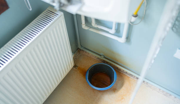 Best Mold removal after water damage  in Sumner, IA