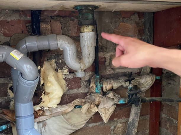 Best Local water damage restoration  in Sumner, IA